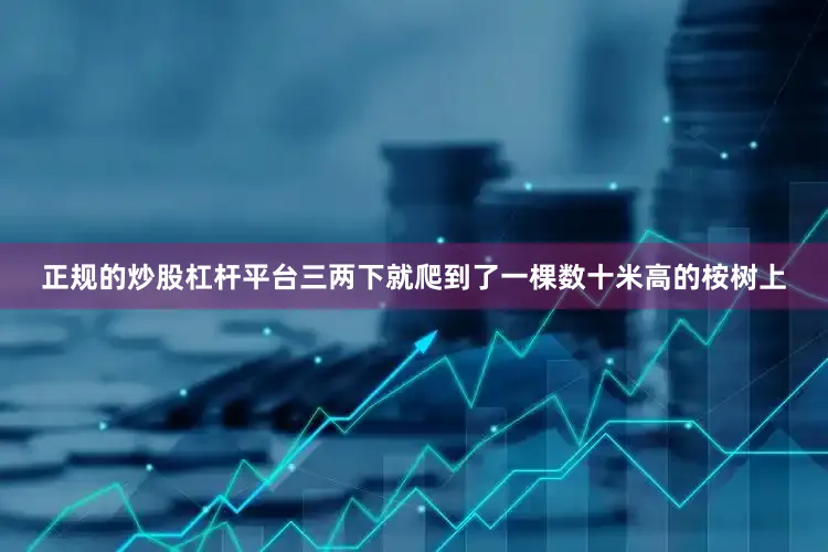 正规的炒股杠杆平台三两下就爬到了一棵数十米高的桉树上