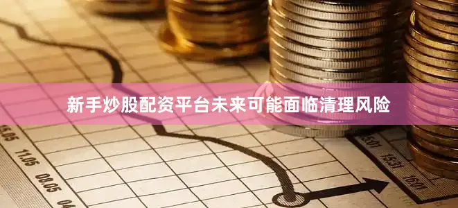 新手炒股配资平台未来可能面临清理风险