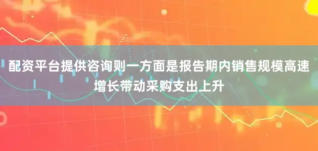 配资平台提供咨询则一方面是报告期内销售规模高速增长带动采购支出上升