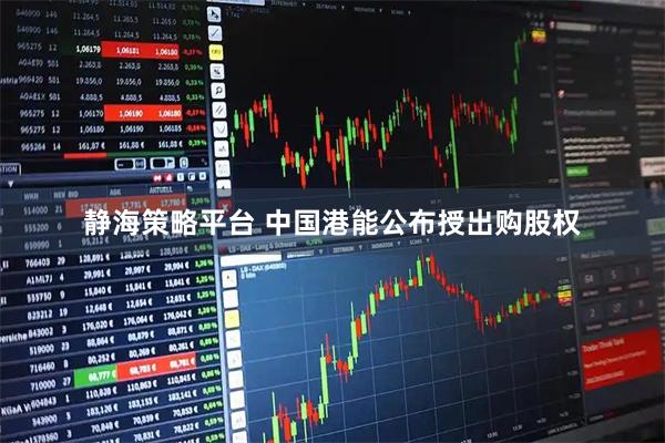 静海策略平台 中国港能公布授出购股权